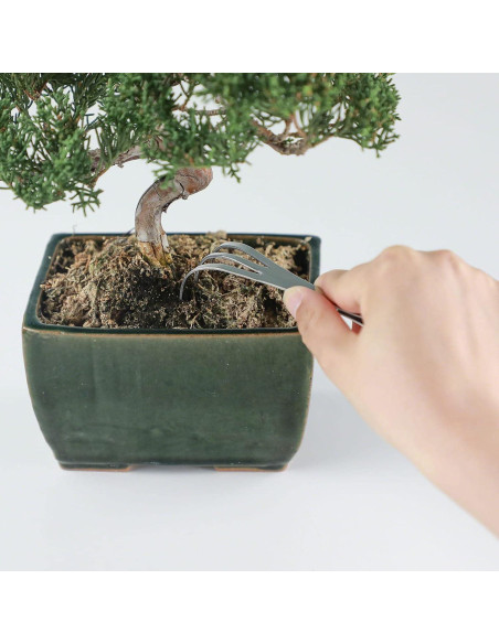 Pinzas Bonsai 2 en 1 Wazakura con Rastrillo Acero Inoxidable