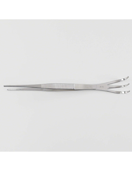 Pinzas Bonsai 2 en 1 Wazakura con Rastrillo Acero Inoxidable