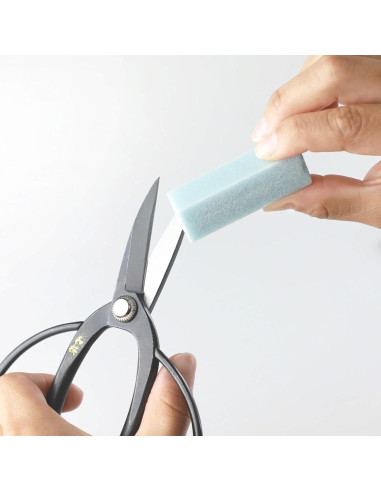 Juego de Herramientas de Limpieza Wazakura 2PCS para Jardín