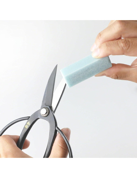 Juego de Herramientas de Limpieza Wazakura 2PCS para Jardín