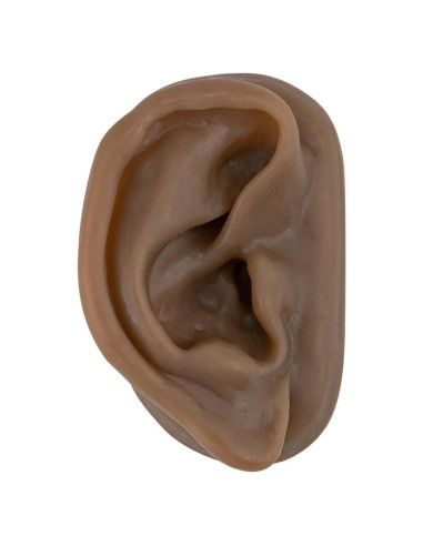 Modelo de Oído de Silicona SimCoach para Acupuntura y Piercing