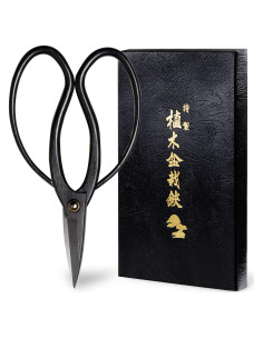 Tijeras de Bonsai Wazakura 180mm Acero al Carbono Japonés