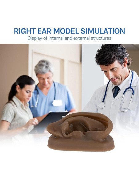 Modelo de Oído de Silicona SimCoach para Acupuntura y Piercing