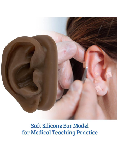 Modelo de Oído de Silicona SimCoach para Acupuntura y Piercing