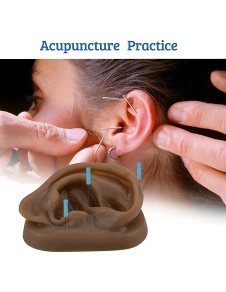 Modelo de Oído de Silicona SimCoach para Acupuntura y Piercing