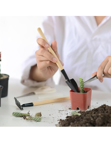 Set de Mini Herramientas de Jardinería DOITOOL - 3 Piezas