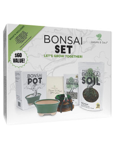 Kit Completo de Bonsai Hojas y Alma - Maceta Ovalada Verde