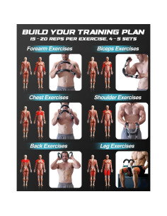 Entrenador de Brazos Rycid SK-1 Ajustable 40-100 lbs 2