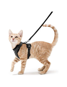 Arnés y Correa para Gatos Rabbitgoo Ajustable Negro XS