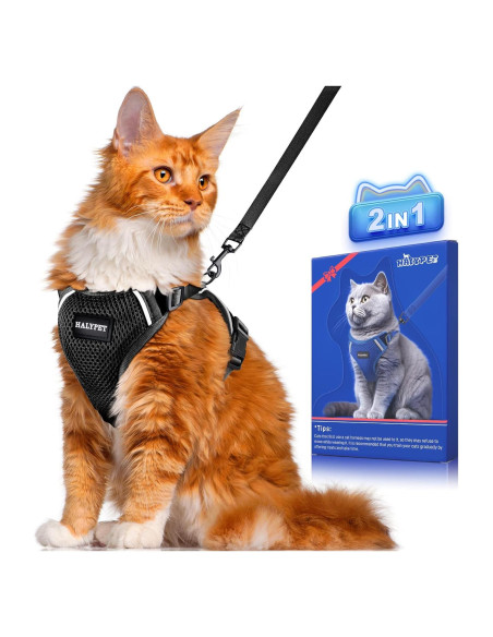 Conjunto Arnés y Correa para Gato Halypet H200 Pro Negro