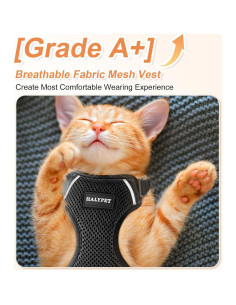 Conjunto Arnés y Correa para Gato Halypet H200 Pro Negro 2