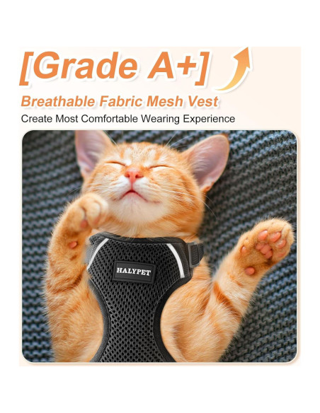 Conjunto Arnés y Correa para Gato Halypet H200 Pro Negro