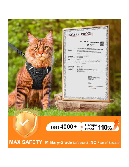Conjunto Arnés y Correa para Gato Halypet H200 Pro Negro