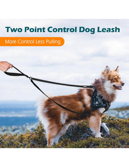 Correa para Perros PetBonus 2 Puntos, Mango Acolchado 1.22m