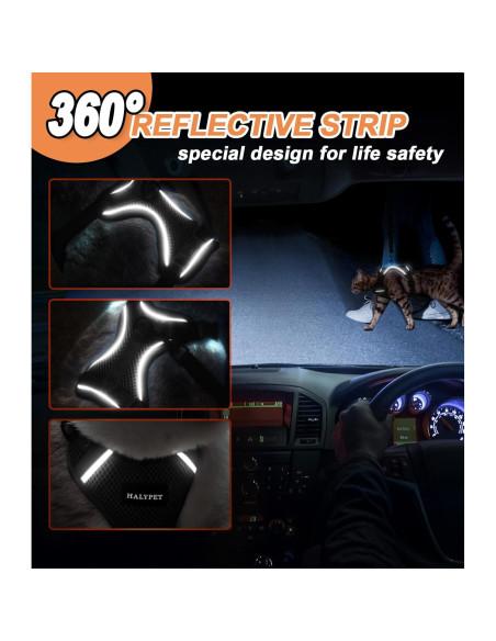 Conjunto Arnés y Correa para Gato Halypet H200 Pro Negro