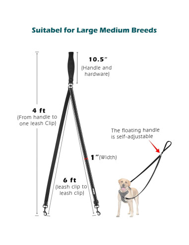 Correa para Perros PetBonus 2 Puntos, Mango Acolchado 1.22m