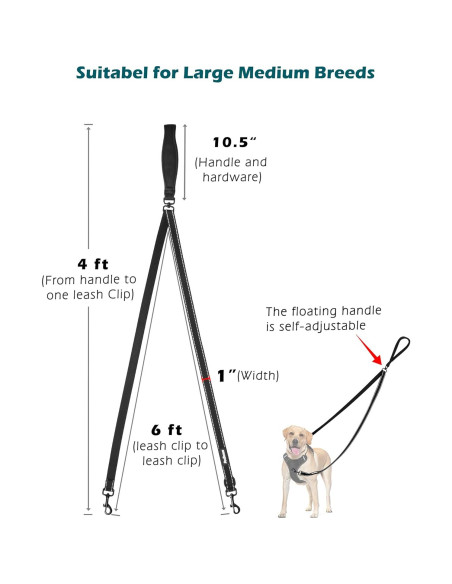 Correa para Perros PetBonus 2 Puntos, Mango Acolchado 1.22m