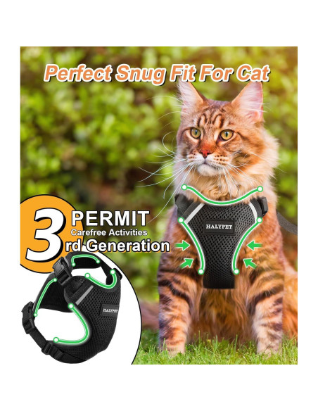 Conjunto Arnés y Correa para Gato Halypet H200 Pro Negro
