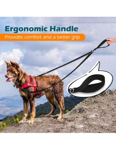 Correa para Perros PetBonus 2 Puntos, Mango Acolchado 1.22m