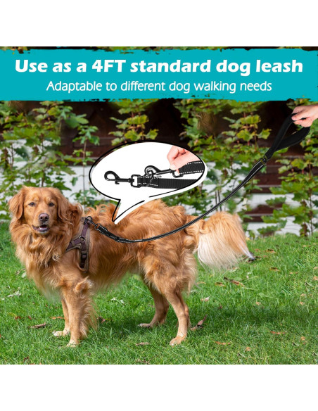 Correa para Perros PetBonus 2 Puntos, Mango Acolchado 1.22m