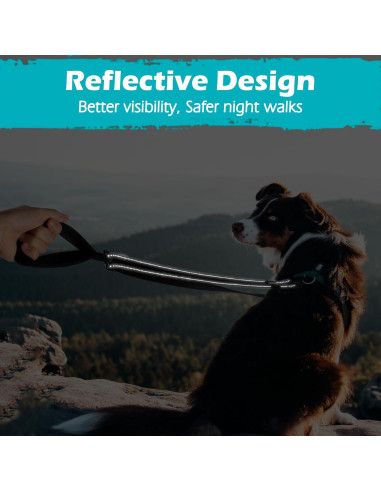 Correa para Perros PetBonus 2 Puntos, Mango Acolchado 1.22m