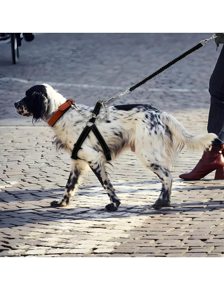 Clip de Seguridad para Collar de Perro Ozzynods 20.32 cm Acero Inoxidable
