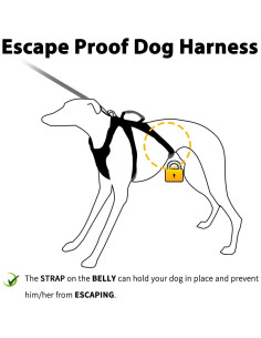 Arnés para Perros HUNTBOO Grande Rosa Reflectante Ajustable 2