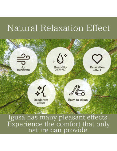 Silla de Piso Plegable BJDesign Zaisu - Cojín de Meditación Zen