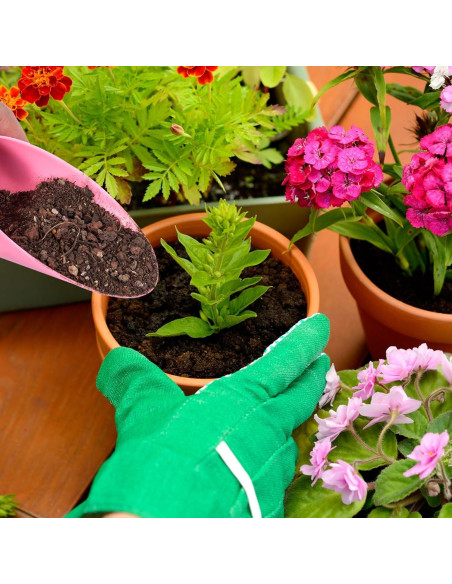 Juego de 12 Herramientas de Jardín HINZIC para Suculentas