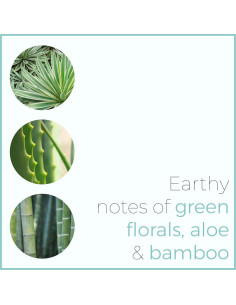 Vela Aromática Lilly & Vine Equilibrio 190g - Aloe y Bambú 2