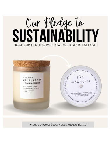 Vela Aromática Slow North Lemongrass y Mandarina 226.8 g