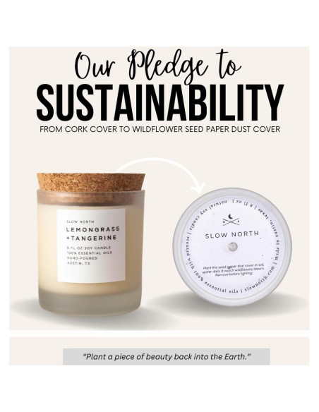 Vela Aromática Slow North Lemongrass y Mandarina 226.8 g