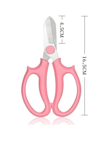 Juego de herramientas de jardín 4 piezas Fanbay - Desespinador, guantes y tijeras
