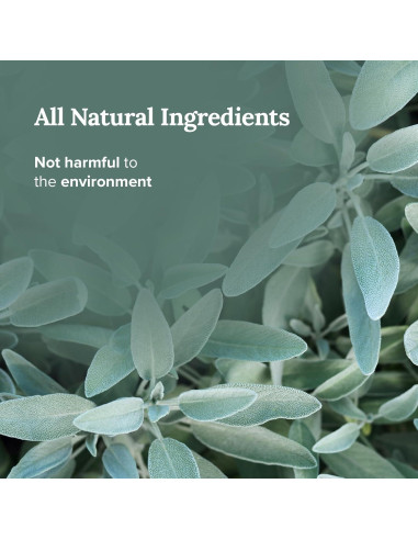 Vela de Salvia Blanca Pura Magnífico 101 - 170 g - 35 Horas