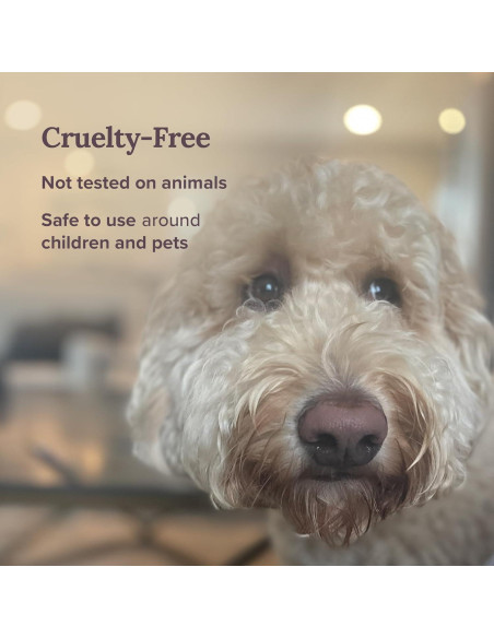 Vela de Salvia Blanca Pura Magnífico 101 - 170 g - 35 Horas