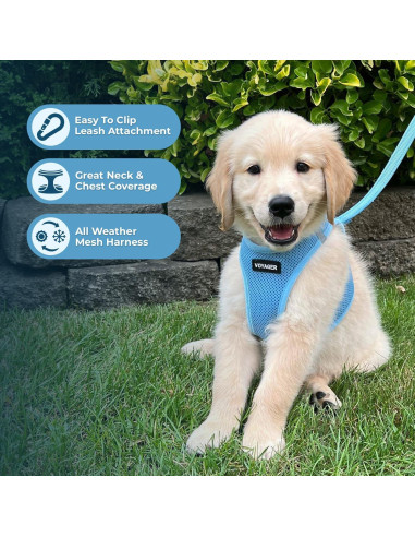 Arnés de Malla Todo Clima Best Pet Supplies Azul Bebé S