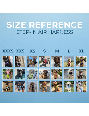 Arnés de Malla Todo Clima Best Pet Supplies Azul Bebé S