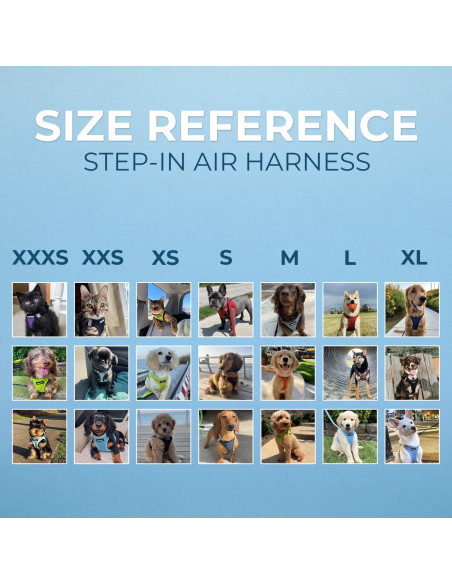 Arnés de Malla Todo Clima Best Pet Supplies Azul Bebé S