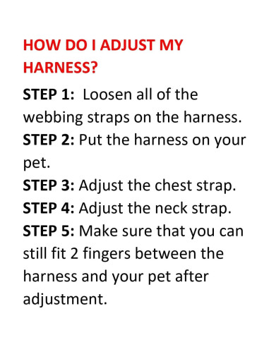 Arnés de Malla Todo Clima Best Pet Supplies Azul Bebé S