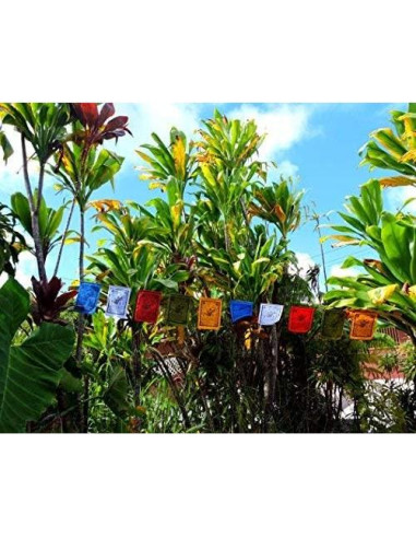 Bandera de Oración Caballo del Viento Manos de Tíbet 15x20 cm