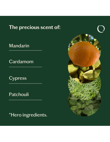 Aceite Esencial Balanceado Livedrops 10ml - Mandarina, Cardamomo, Ciprés, Pachulí