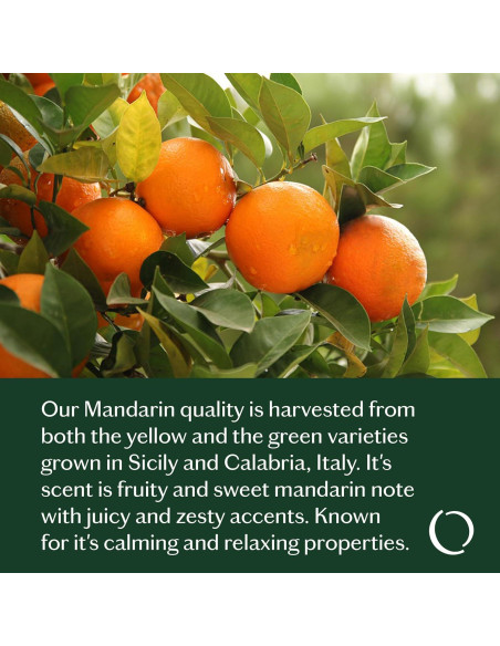 Aceite Esencial Balanceado Livedrops 10ml - Mandarina, Cardamomo, Ciprés, Pachulí