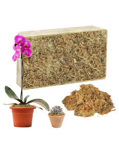 Musgo Sphagnum Natural 150 g Hourleey para Plantas