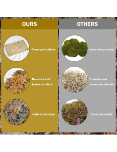 Musgo Sphagnum Natural 150 g Hourleey para Plantas 2