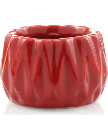 Bambú de la Suerte NW Wholesaler en Maceta Roja 10 cm