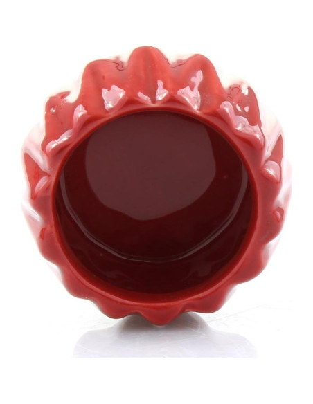 Bambú de la Suerte NW Wholesaler en Maceta Roja 10 cm