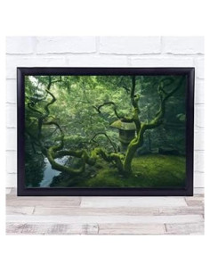 Impresión de Arte en Pared Zen Jardín Japonés The Card Zoo - Mediano