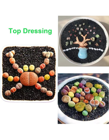 Grava Negra para Jardinería Boniosz 1.09kg 2-3mm Decoración