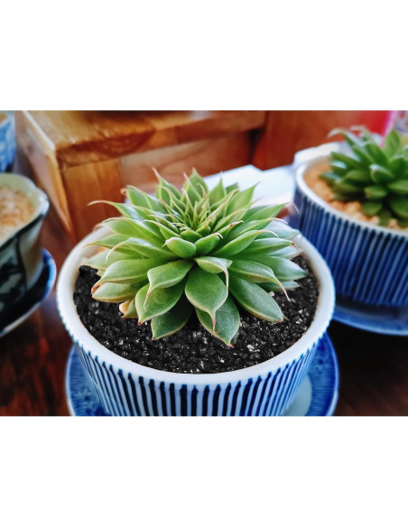 Grava Negra para Jardinería Boniosz 1.09kg 2-3mm Decoración