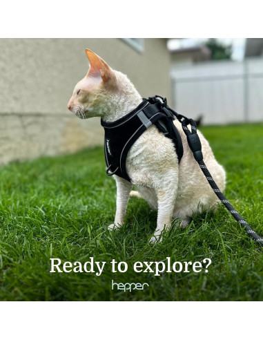Conjunto Arnés y Correa para Gato Hepper XS - A Prueba de Escape